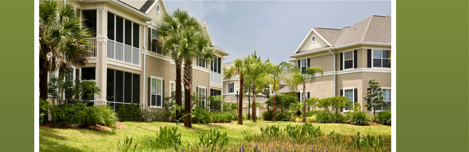 Meng Law Firm Attorney at Law